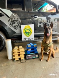 BPFRON prende homem em Santa Helena em posse de moto furtada e 16 Kg de maconha