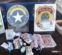 Policia Federal e Receita Federal prendem paraguaio com cocaína na Aduana da Ponte da Amizade