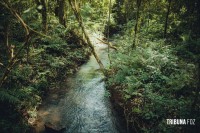 Bike Poço Preto: passeio guiado pela floresta da Mata Atlântica