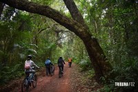 Bike Poço Preto: passeio guiado pela floresta da Mata Atlântica