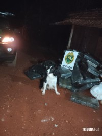 BPFRON prende dois homens e apreende 1067 Kg de maconha em Marechal Cândido Rondon