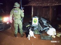 BPFRON prende dois homens e apreende 1067 Kg de maconha em Marechal Cândido Rondon