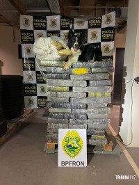 BPFRON prende dois homens e apreende 1067 Kg de maconha em Marechal Cândido Rondon