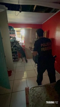 Policia Federal prende traficante responsável por intermediar envio de drogas para São Paulo