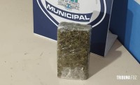 Guarda Municipal apreende adolescente com tablete de maconha no Cidade Nova II