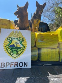 BPFRON e FICCO apreendem 1,4 toneladas de maconha no interior de Marechal Cândido Rondon