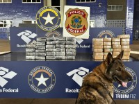 Polícia Federal e Receita Federal apreenderam cerca de 55 Kg de cocaína e crack na Ponte da Amizade