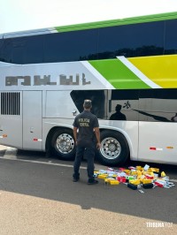 Policia Federal apreende maconha e produtos eletrônicos descaminhados em dois ônibus de turismo