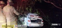 Condutor morre após acidente na PR-317 em Santa Helena