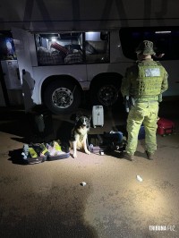 BPFRON apreende menor com mais de doze quilos de maconha em ônibus interestadual em São Miguel do Iguaçu