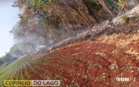 Incêndio ambiental em distrito de Santa Helena é controlado por Bombeiros e Defesa Civil