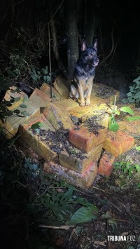 BPFRON apreende 1006,8 Kg maconha em Santa Helena