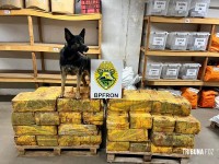 BPFRON apreende 1006,8 Kg maconha em Santa Helena