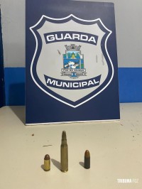 Guarda Municipal cumpre mandado de prisão e apreende munições no Bairro Três Lagoas