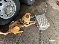 Policia Federal prende passageira com maconha na Rodoviária de Foz do Iguaçu