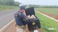 PRF prende motoboy que carregava 60 quilos de maconha em São Miguel do Iguaçu