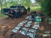 SENAD apreende 90 Kg de maconha tipo "Skunk" em Ciudad Del Este