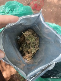 SENAD apreende 90 Kg de maconha tipo "Skunk" em Ciudad Del Este