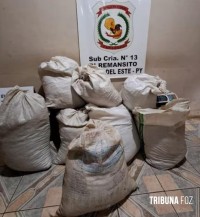 Policia Nacional do Paraguai apreende 62 Kg de maconha picada as margens do Rio Paraná