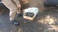 Casa que era usada para estocar drogas pega fogo e morador fica gravemente queimado no Jardim Belvedere