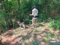 Policia Federal e PM/PR recuperam veículo roubado com mercadorias contrabandeadas