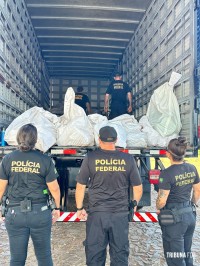 Policia Federal incinera drogas apreendidas na região da tríplice fronteira