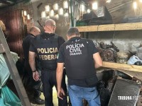 Polícia realiza operação contra quadrilha suspeita de roubar pelo menos 120 veículos na tríplice fronteira