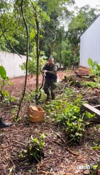 Policia Ambiental resgatam cobra em aérea particular e solta em uma área de mata nativa em Foz