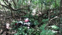 Guarda Municipal apreende moto furtada escondida em matagal na Vila Maracanã