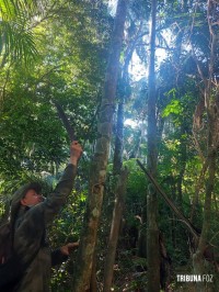 Militares do Batalhão de Policia Ambiental encontram jirau e saleiros no interior do Parque Nacional do Iguaçu