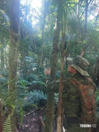 Militares do Batalhão de Policia Ambiental encontram jirau e saleiros no interior do Parque Nacional do Iguaçu