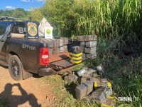 BPFRON apreende 606 Kg de maconha na Vila Celeste, em Santa Helena