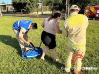 Motociclista colide com cachorro e deixa duas pessoas feridas na BR-277