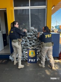 PRF apreende 101 Kg de maconha tipo skunk em Santa Terezinha de Itaipu