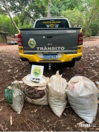 Militares do Trânsito da PM apreendem 29 Kg de maconha na Favela do Monsenhor
