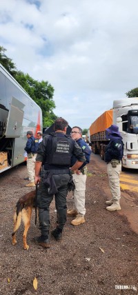PRF realiza Operação Embarque Legal em Céu Azul 