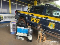 PRF realiza Operação Embarque Legal em Céu Azul 