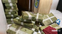 PF deflagra operação cannabis express, em ação voltada ao tráfico de drogas e associação para o tráfico
