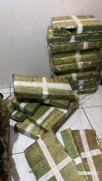 PF deflagra operação cannabis express, em ação voltada ao tráfico de drogas e associação para o tráfico