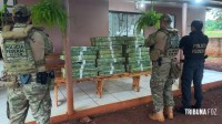 PF deflagra operação cannabis express, em ação voltada ao tráfico de drogas e associação para o tráfico