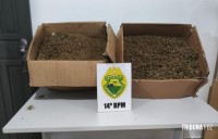 Polícia Militar apreende 23 Kg de maconha no Bairro Morumbi