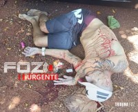 Homem é executado a tiros no Jardim São Luiz na véspera de natal 