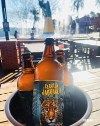 Último final de semana do ano tem ação ambiental e promoção de cerveja no local mais charmoso de Foz do Iguaçu