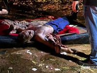 "Gauchinho" é morto com três tiros de revolver no bosque da Vila Portes