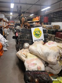 BPFRON apreende 6 toneladas de maconha em Santa Helena