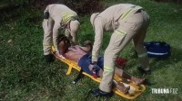 Divida de R$ 60,00 reais teria motivado tentativa de homicídio no Jardim Guarapuava