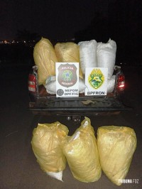 Policia Federal e PM localizam 100 Kg de capulho nas margens do Rio Paraná, em Foz do Iguaçu