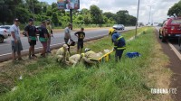 Siate socorre motociclistas e passageiro após colisão entre duas motos na BR-277