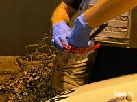 Ex-presidiário reage a abordagem da PM e morre baleado no Bairro Três Bandeiras 