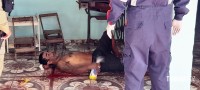 Homem que levou facãozada no Porto Meira nega atendimento do Siate